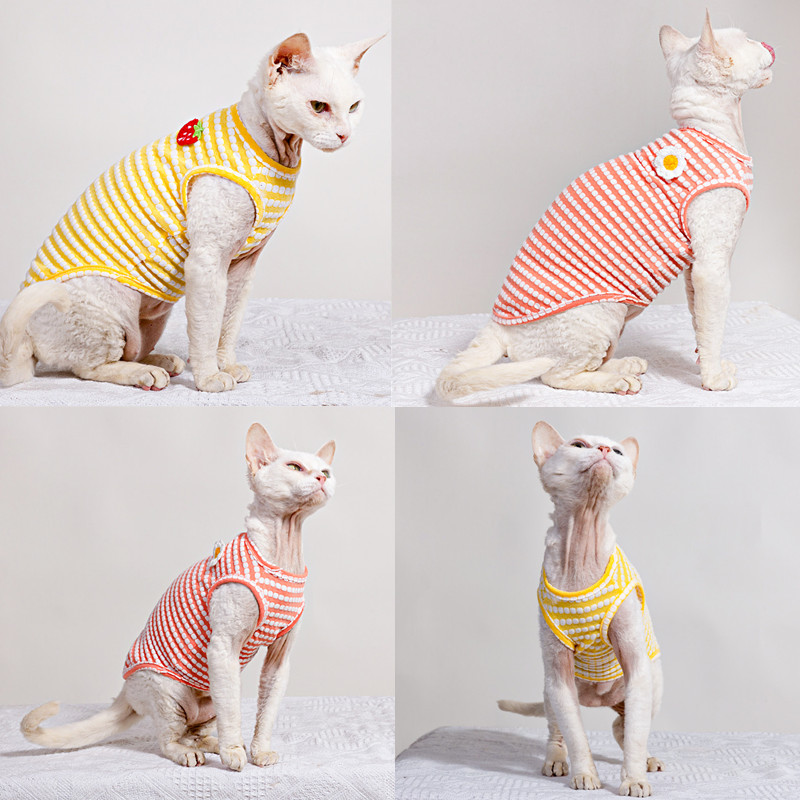 Sommer-T-Shirt für Sphynx-Katz – Soft Summer Yellow Clothing Bewertung und Preis