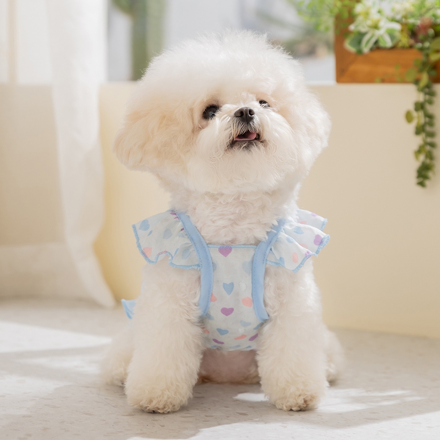 Gelbes Liebes-Hundekleid: Atmu – Soft Summer Yellow Clothing Bewertung und Preis